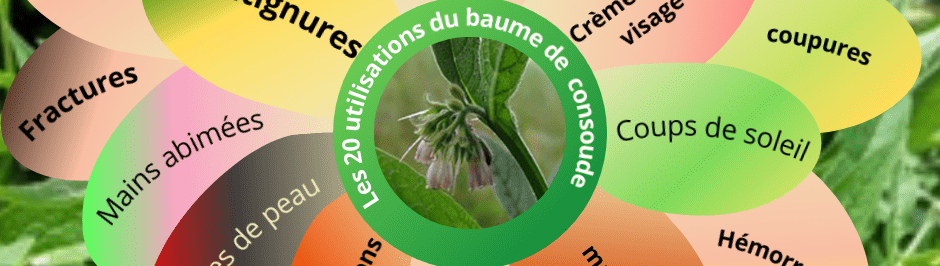 utilisation de la consoude